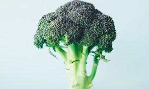 brocoli clave vida extraterrestre bromuro metilo annie spratt m1t rj1iciu unsplash