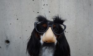 modo incognito google enfrenta demanda braydon anderson wohh nutvvc unsplash