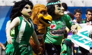 fan id liga mexicana hinchas