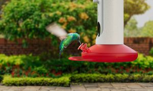 ces 2023 gadgets curiosos mejores