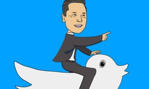 elon musk modifica algoritmo november 2022  illustration of and a bird on