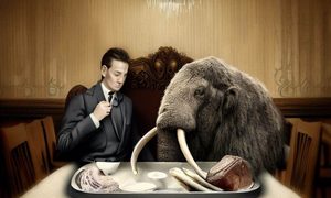 crean albondiga mamut vow 5d8da14c 96fe 45f7 a656 23b10f9e2f79