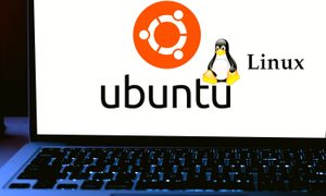 Seleccionamos las mejores distribuciones Linux disponibles.