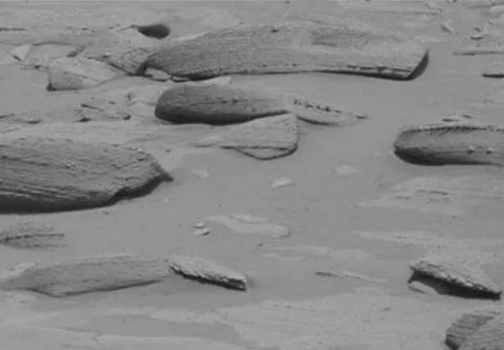 esqueleto dragon marte curiosity captura web 14 4 2023 15495 idahonews com