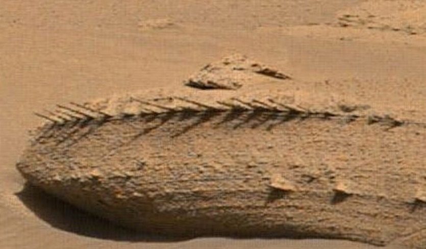 esqueleto dragon marte curiosity drag  n