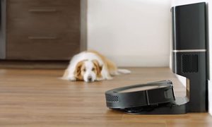Aspiradora Roomba mirada por un perro