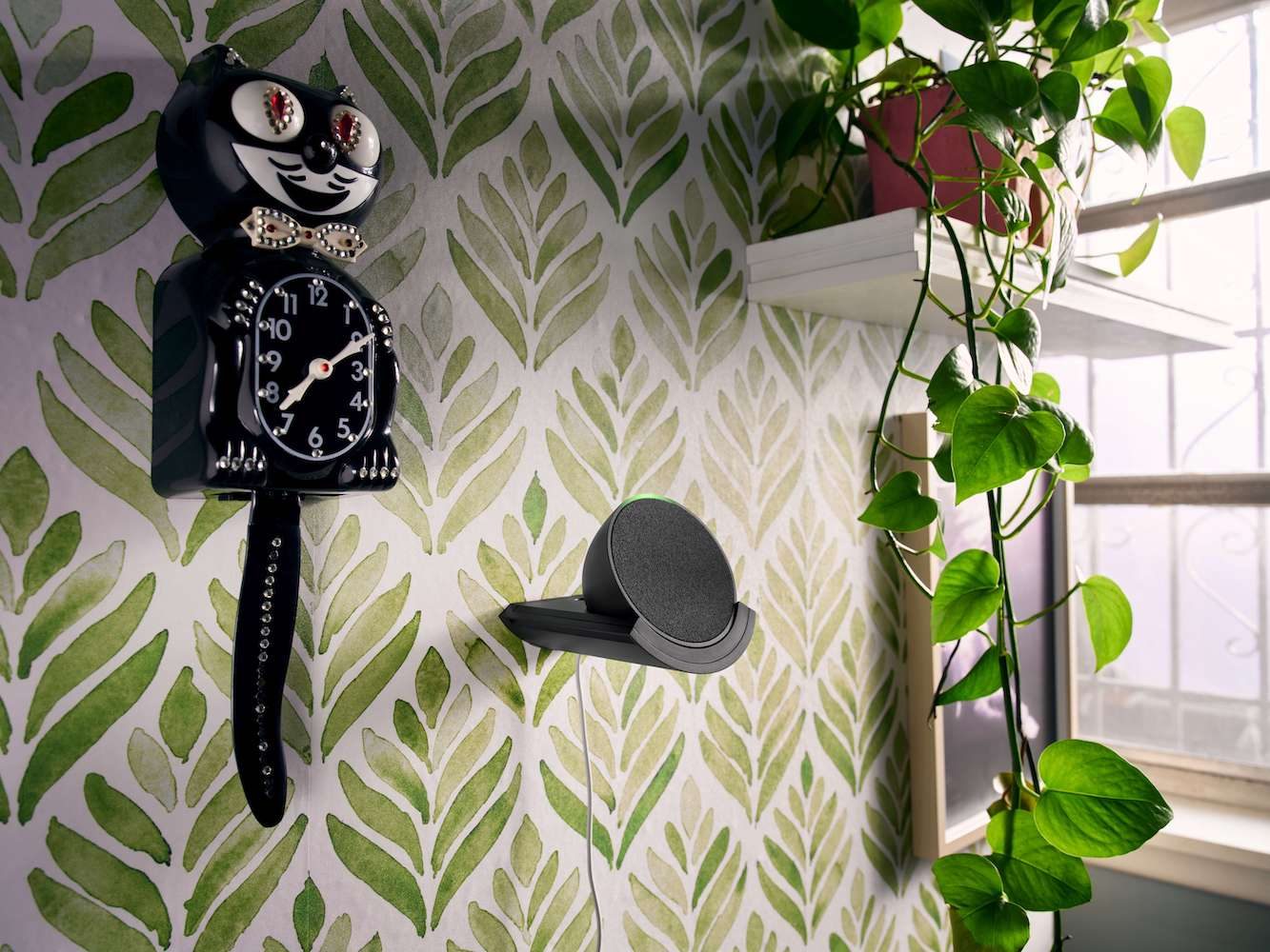 nuevos echo amazon pop shot 4