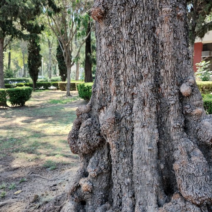 moto g53 primeras impresiones foto 1