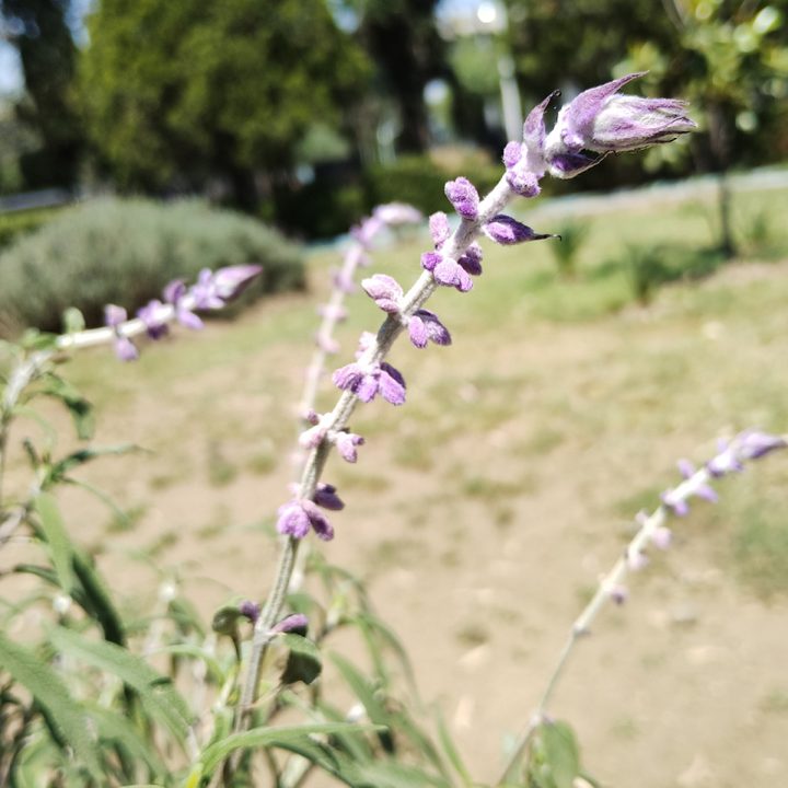 moto g53 primeras impresiones foto 3 1