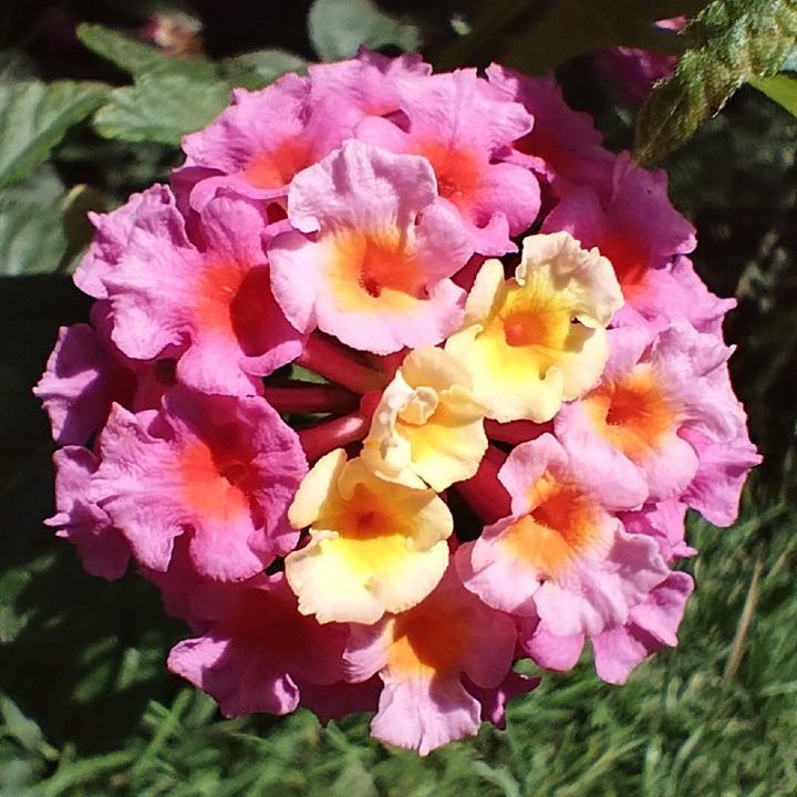 moto g53 primeras impresiones foto 3