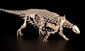 dos nuevos dinosaurios ingles chileno vectipelta barretti