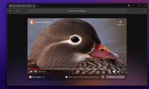 duckduckgo windows privacidad