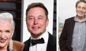 elon musk pelea mark zuckerberg maya errol