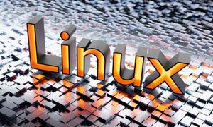 Seleccionamos las mejores distribuciones Linux disponibles.