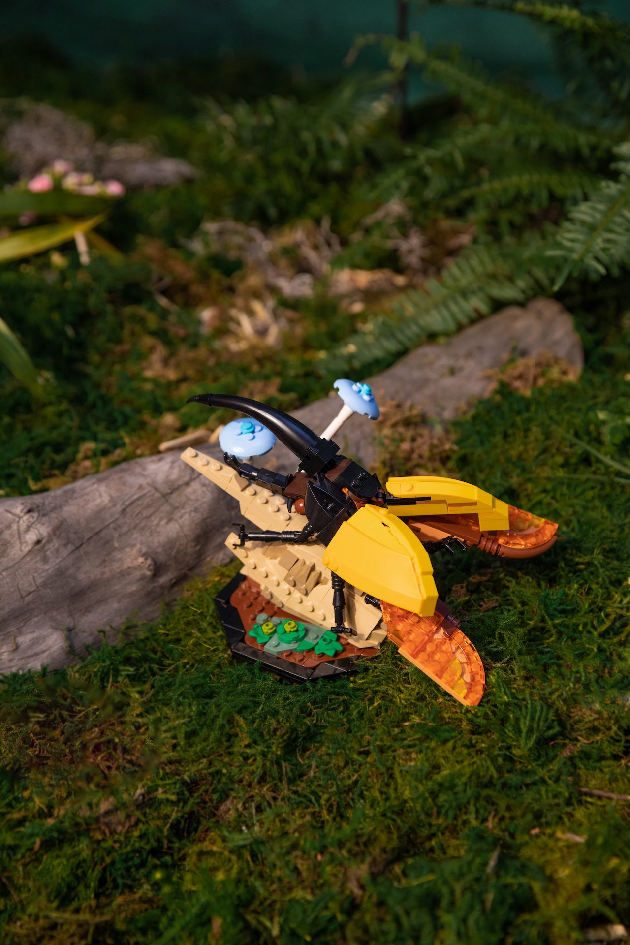 lego coleccion insectos ideas 21342 the insect collection 10