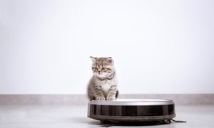 ¿Cuál es el mejor robot aspirador del mercado? Estos son nuestros 8 favoritos.