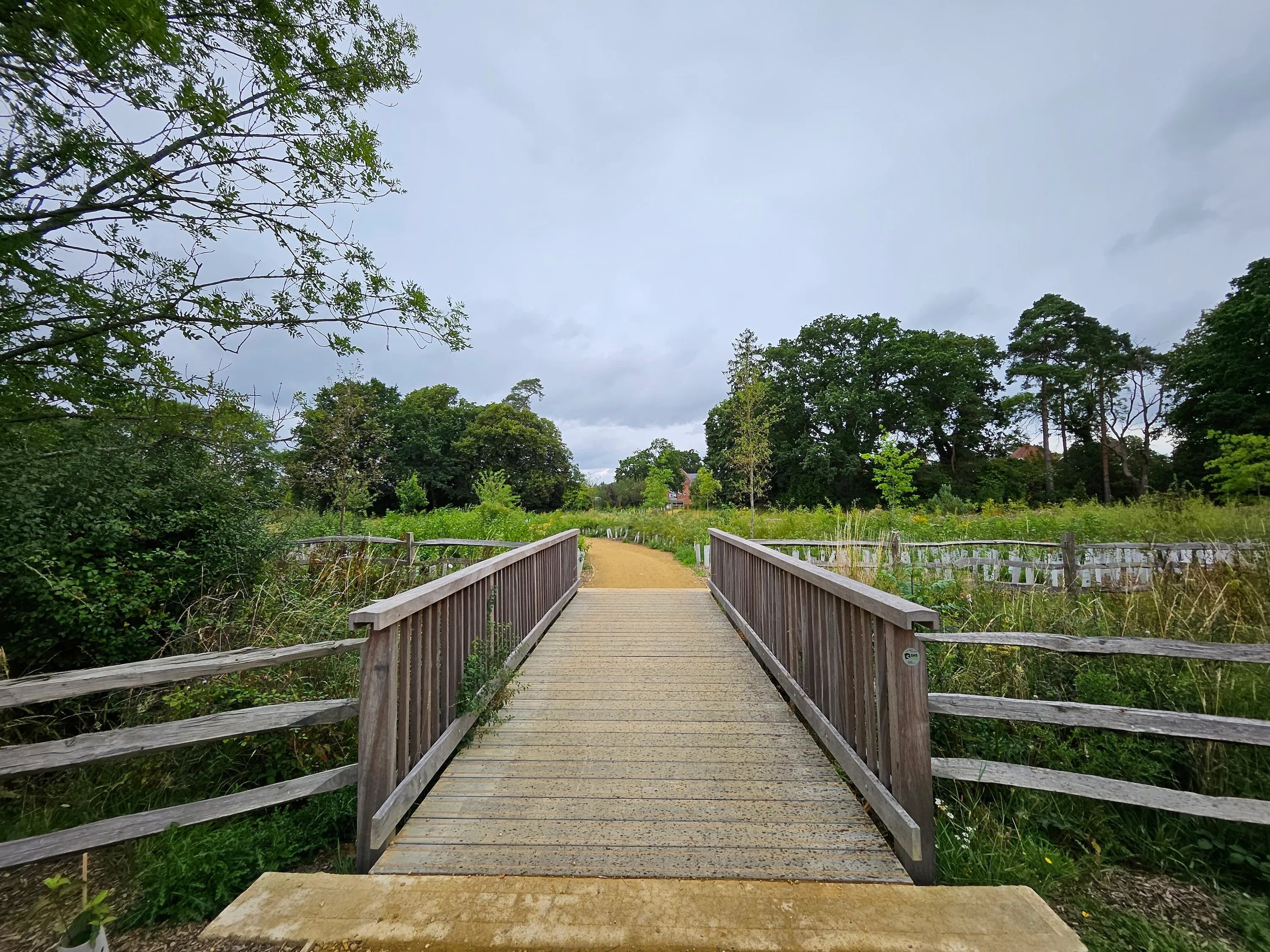 review samsung galaxy z fold 5 precio bridge wide