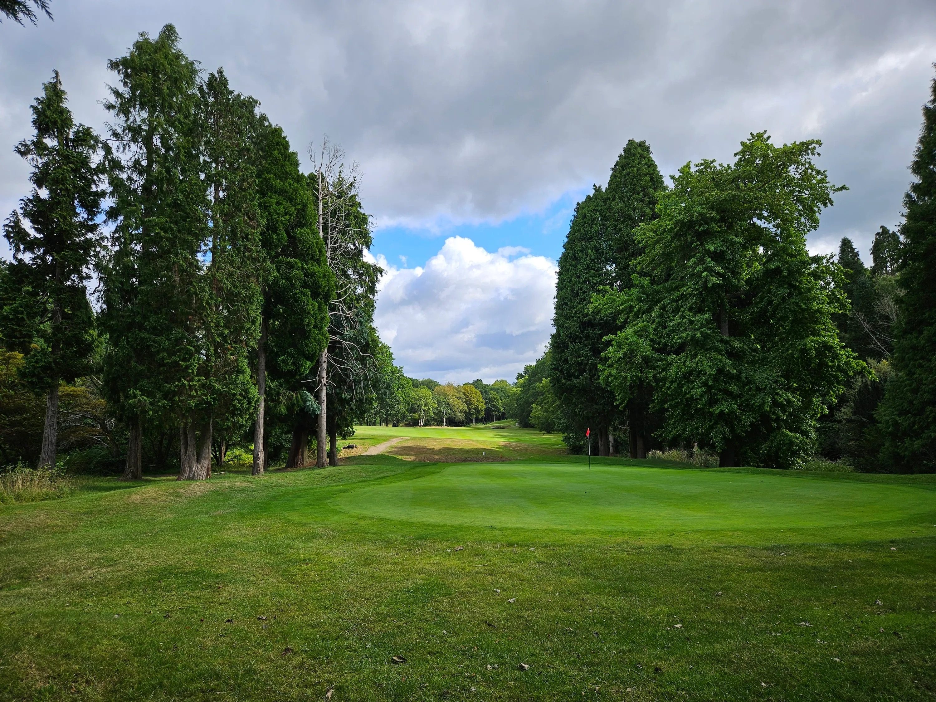 review samsung galaxy z fold 5 precio golf main