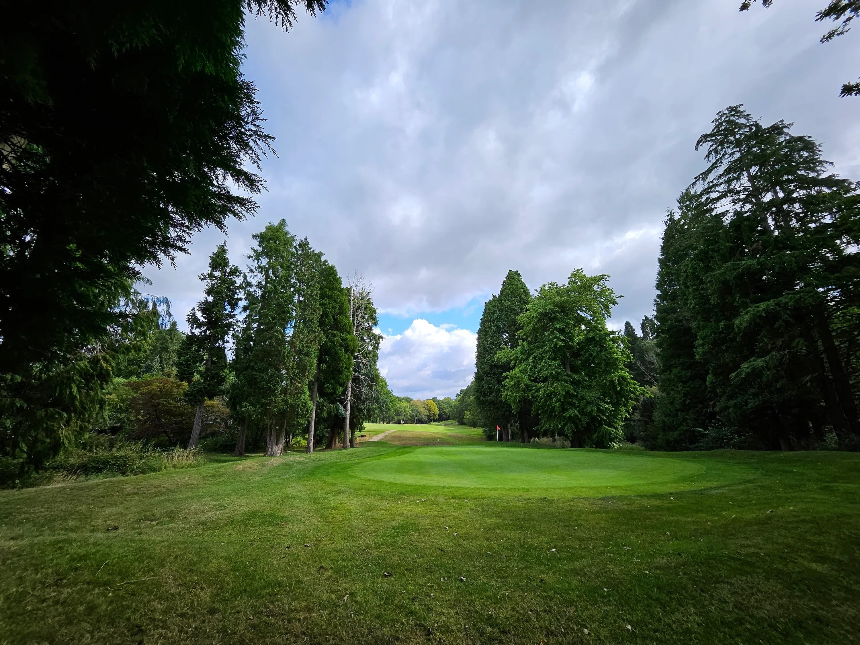 review samsung galaxy z fold 5 precio golf wide