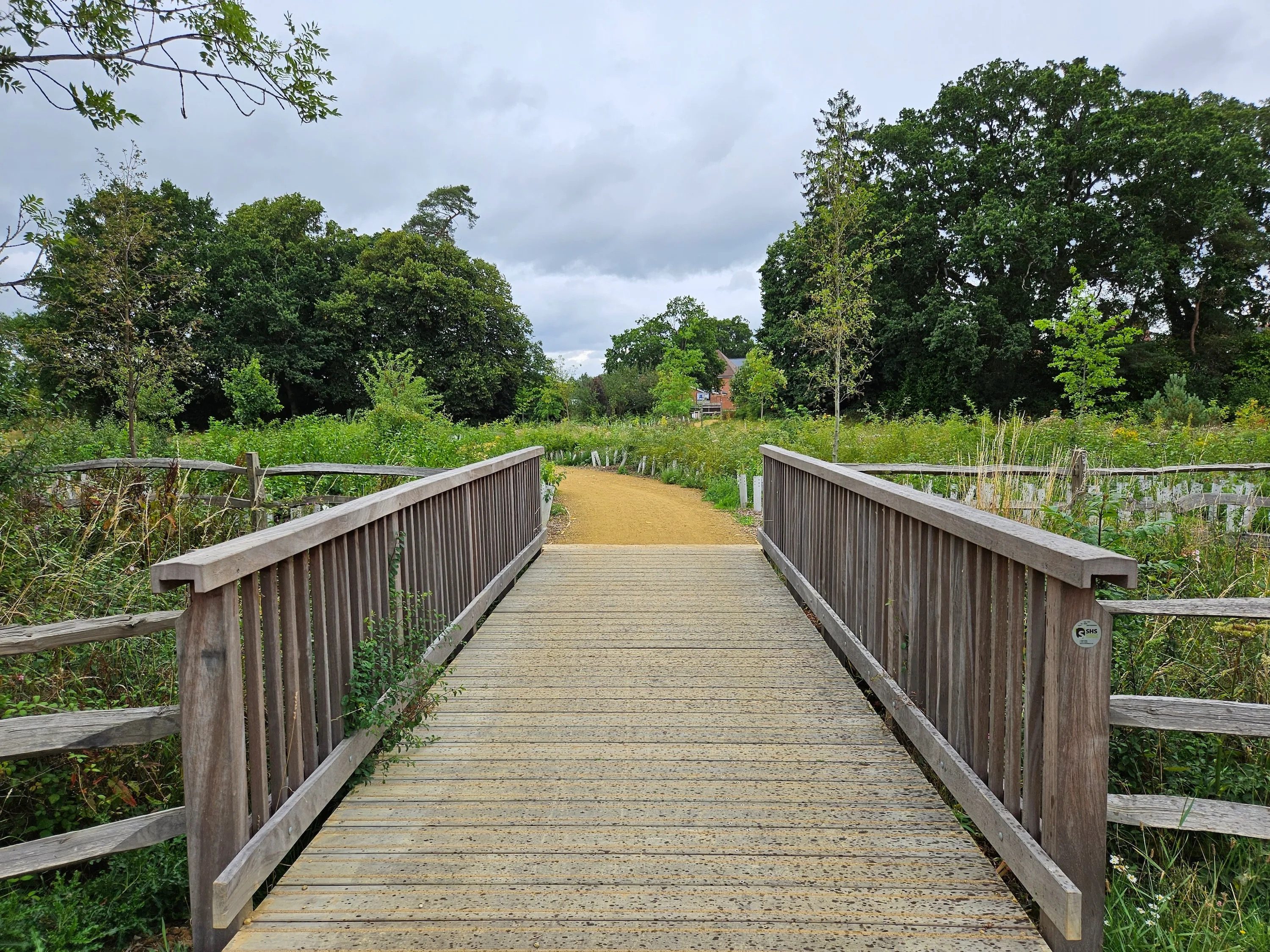 review samsung galaxy z fold 5 precio main bridge