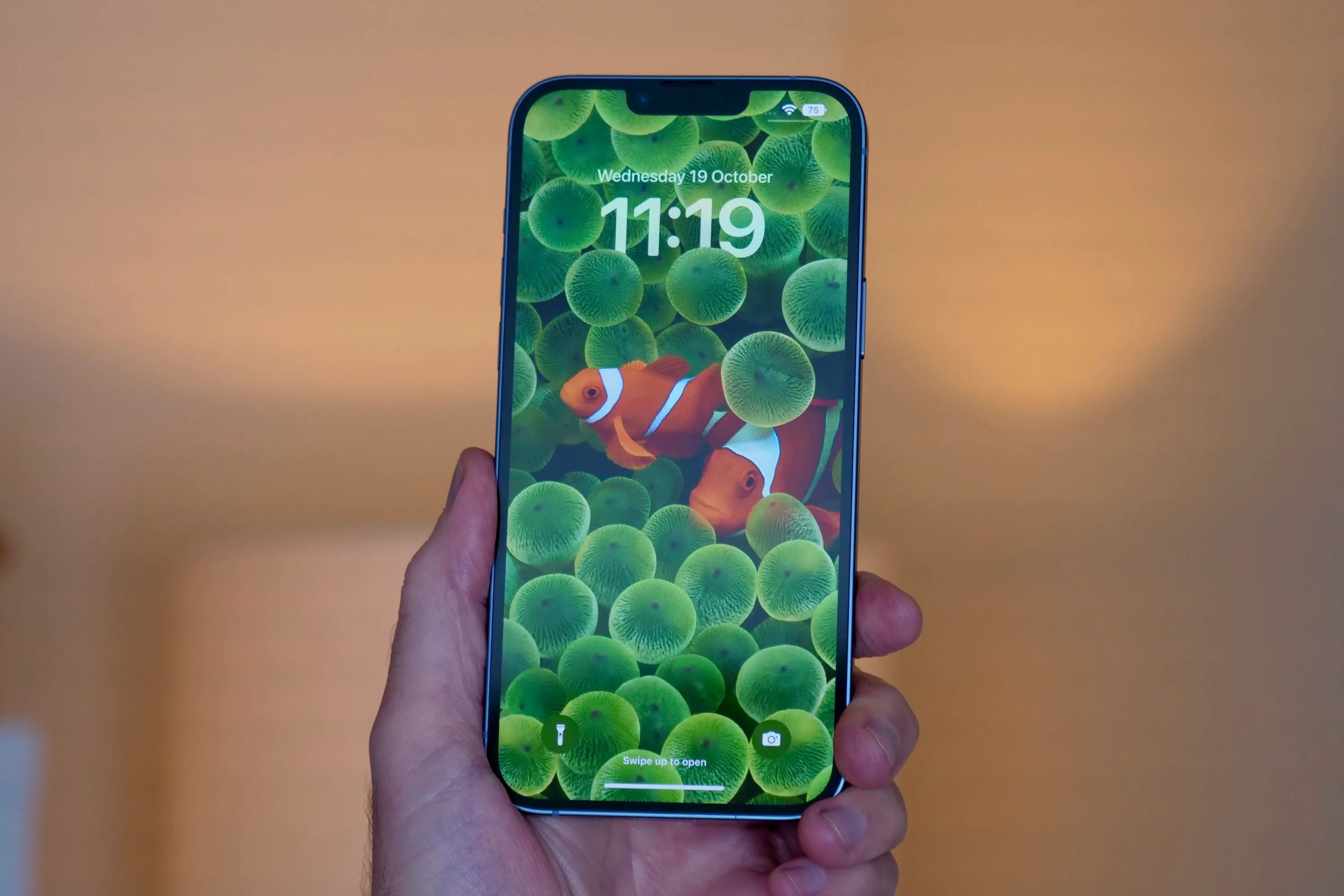iPhone 14 Plus