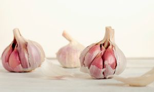 11 alimentos prebioticos quedeberias comer mike kenneally muv4ypu4og4 unsplash