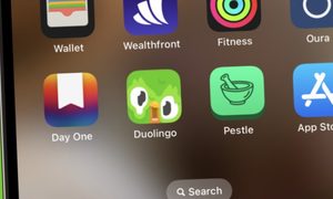 por que aplicacion duolingo se esta derritiendo derretido