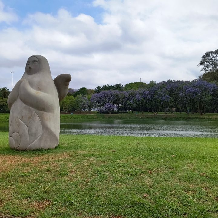 Fotografía tomada con el Motorola Edge 40 Neo.