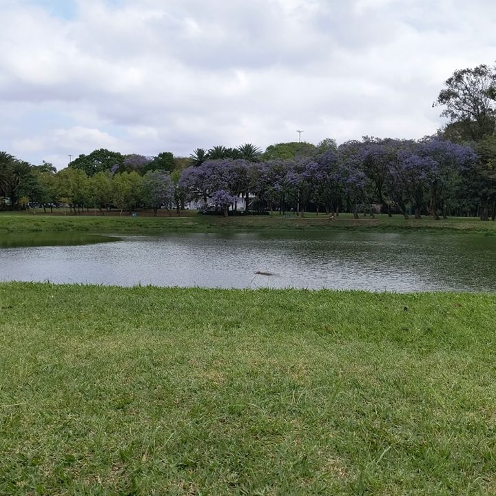 Fotografía tomada con el Motorola Edge 40 Neo.