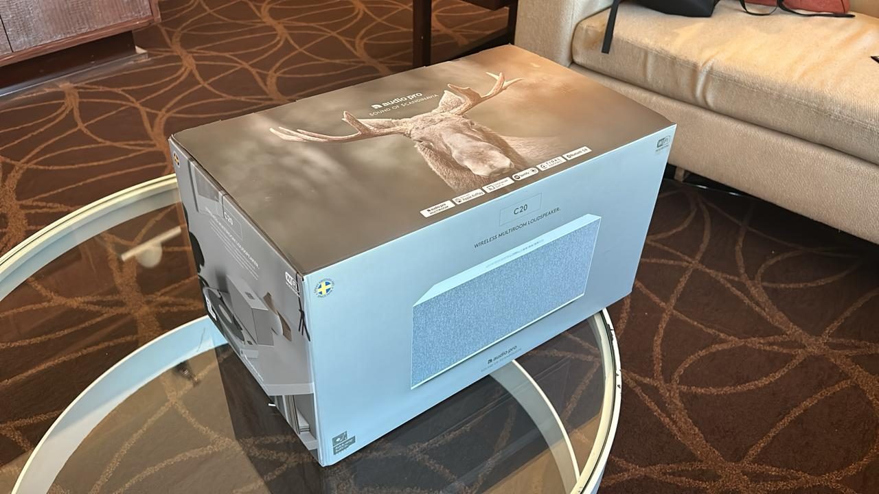 audio pro c20 wireless 4