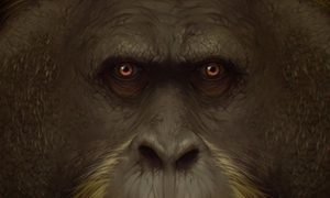 gigantopiteco simio mas grande historia