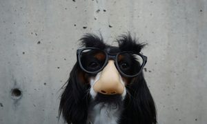 modo incognito no protege tus datos braydon anderson wohh nutvvc unsplash