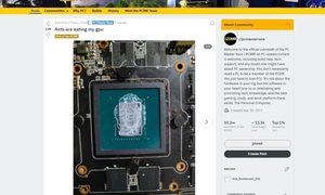 Un usuario cuenta que su PC gamer está infestada de hormigas.