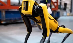 robot spot swat disparo enfrentamiento boston dynamics