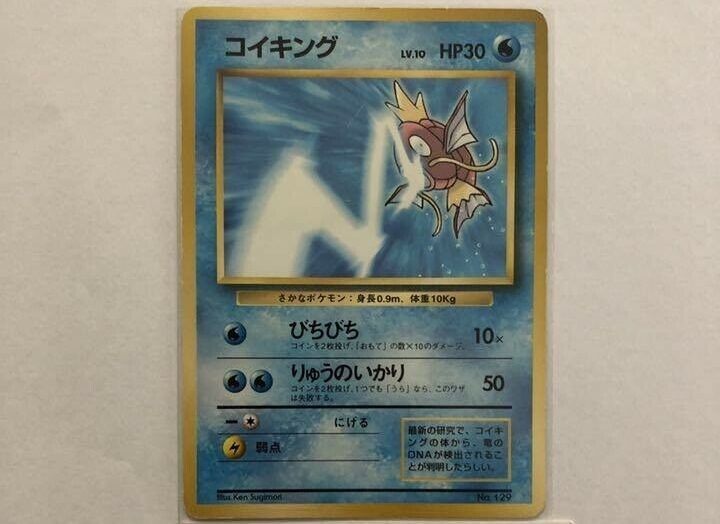 Promo Tamamushi University Magikarp