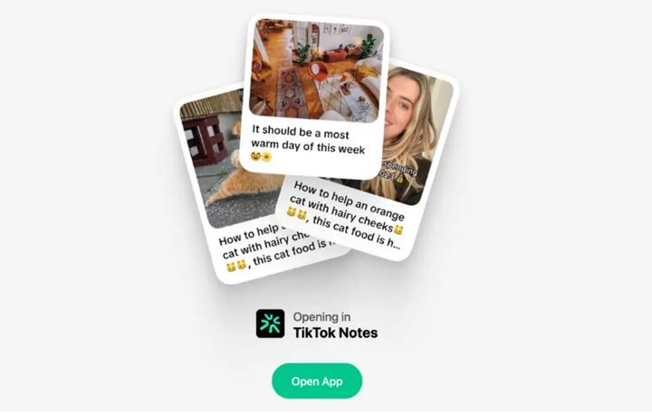 TikTok Notes