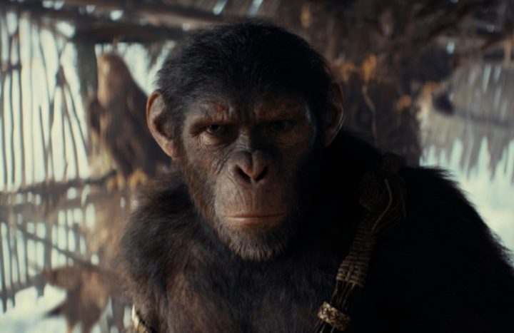 El Reino del Planeta de los Simios