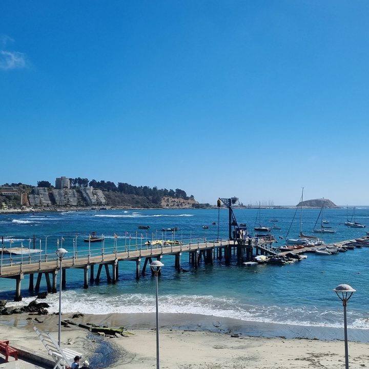 Foto capturada con el celular Samsung Galaxy S21 Plus en abril de 2024.