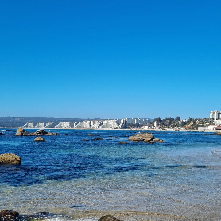 Foto capturada con el celular Samsung Galaxy S21 Plus en abril de 2024.