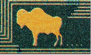 Un búfalo en un chip de HP.