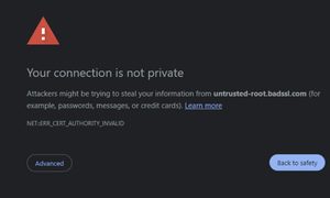 google medidas energicas seguridad internet certificado de