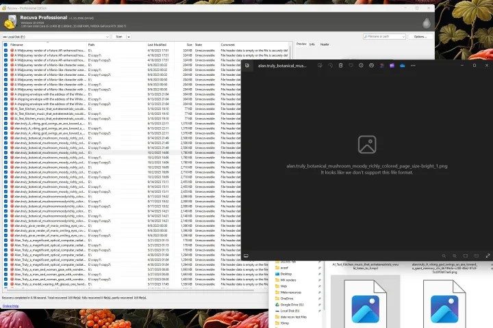 Una imagen del programa para recuperar archivos borrados Recuva Professional.