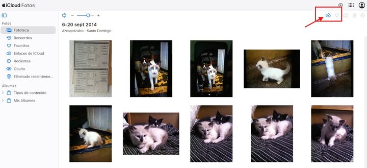 Cómo pasar las fotos de Google Fotos a iCloud.