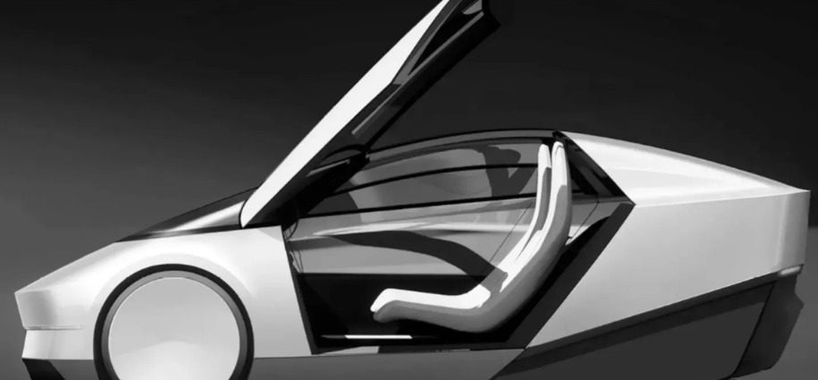 filtrado robotaxi tesla