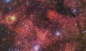 dramatica espeluznante nebulosa lobo oscuro del