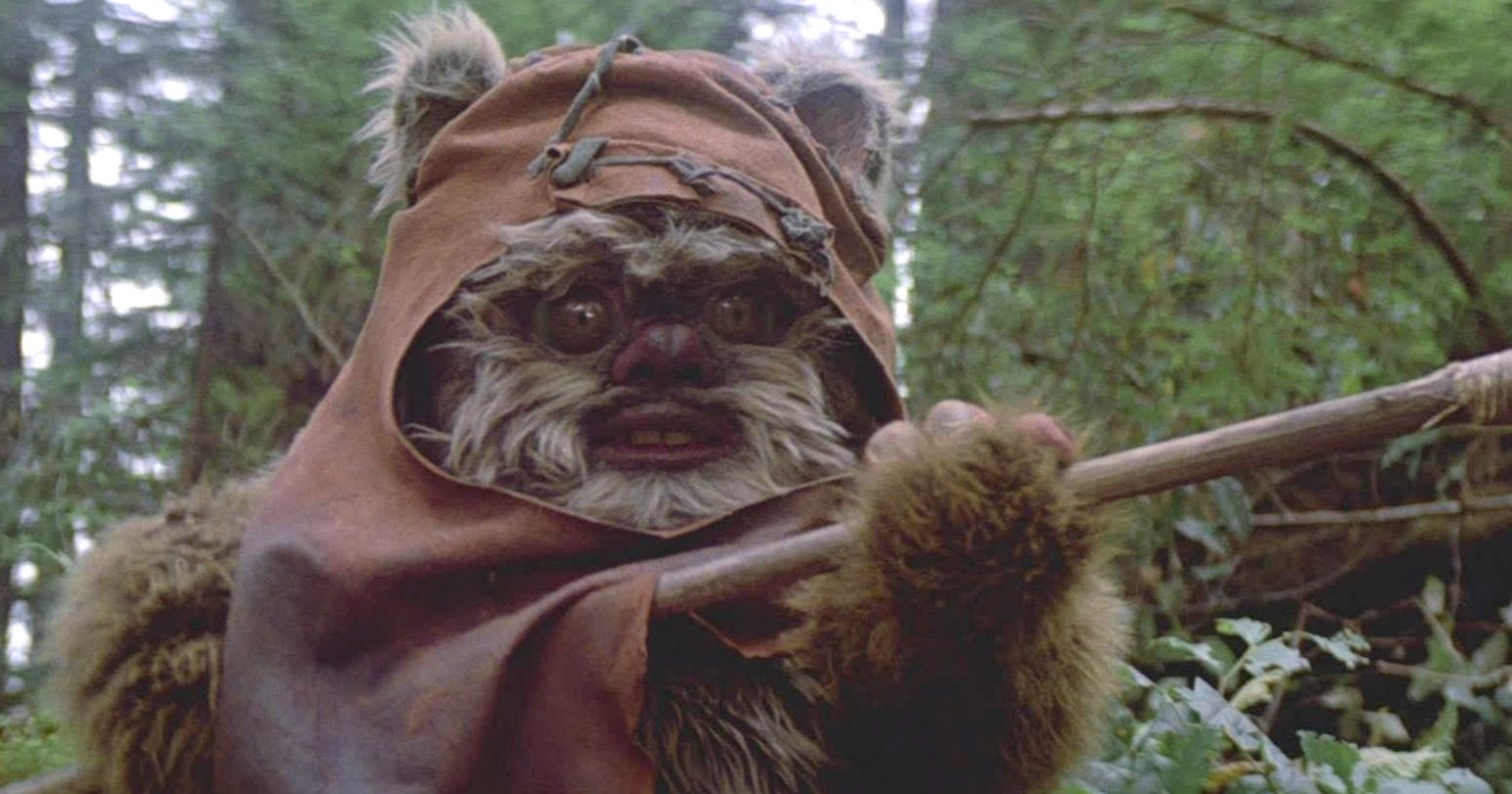Ewoks