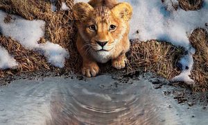 cartelera cine lo que queda de 2024 mufasa