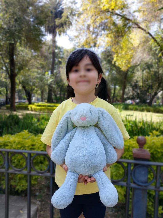 Una fotografía del modo retrato del realme C61.