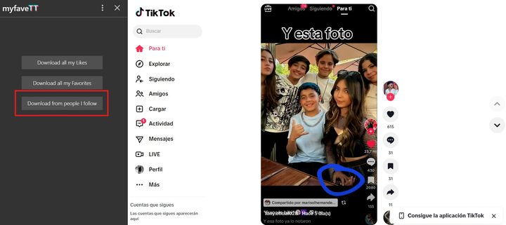 ¿Cómo descargar varios videos de TikTok a la vez?