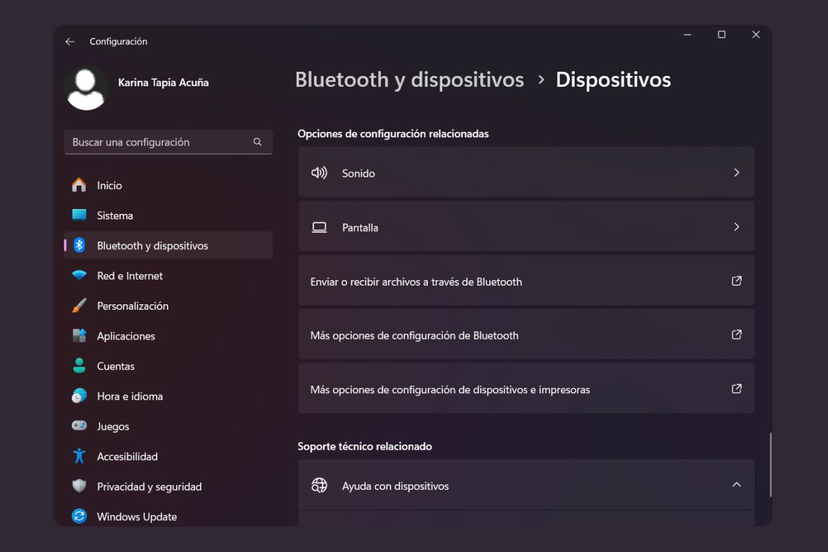 Configuración disquetes Windows 11 Dispositivos